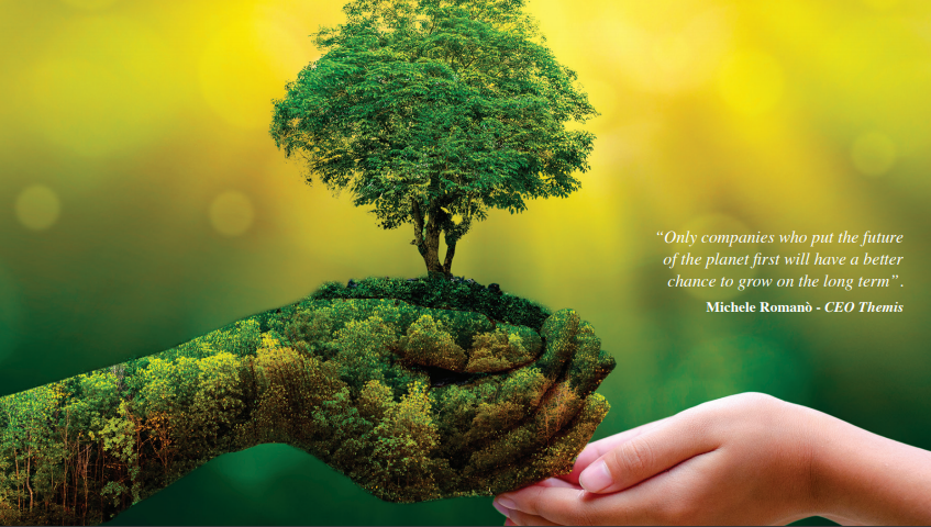 Illustrierte Natur und Baum, aufgenommen von Hand