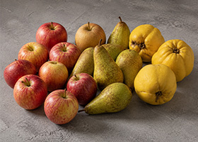 Ein Haufen Äpfel, Birnen und Quitten