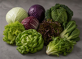 Ein Haufen Weißkohl, Rotkohl, Wirsing, verschiedene Salatsorten