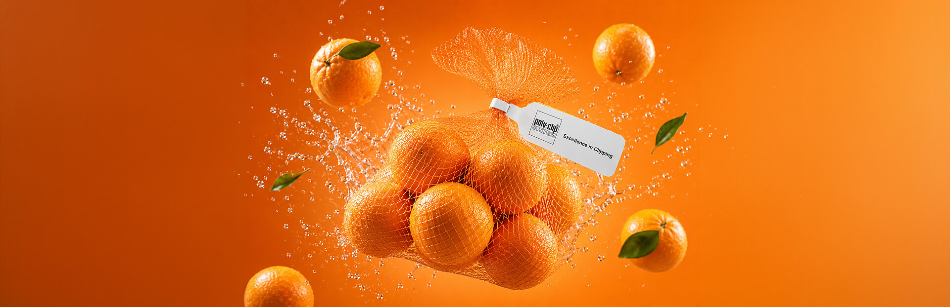 leckere, leuchtend Orangen im Netz